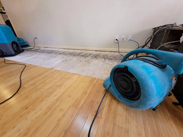 Professional Emergency Water Damage technician working in Winthrop, MA